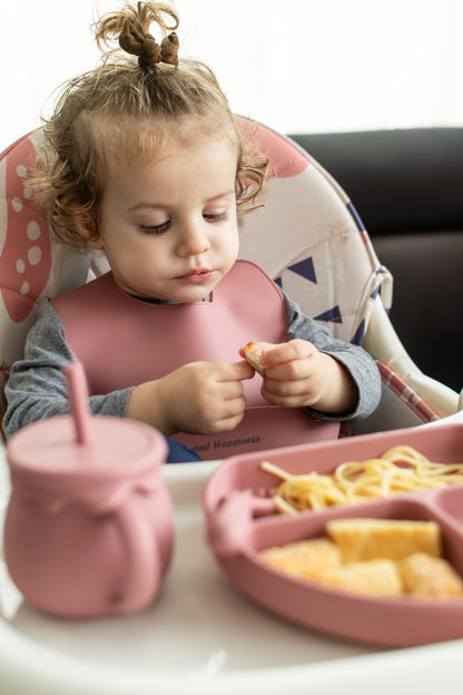 Complete  silicone baby food set Happy Boom Box